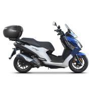 Halter Top Case Scooter Shadpeugeot pulsion 125 2018-2021